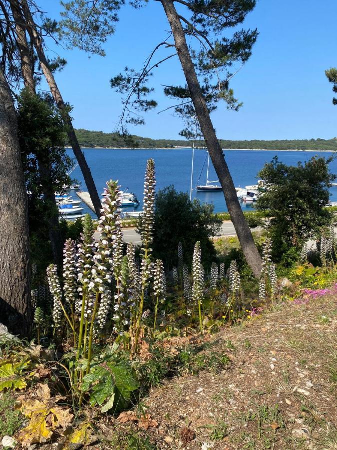 Apartments Tasha Mali Lošinj Dış mekan fotoğraf